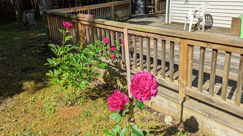 Home Exterior (Back Deck)