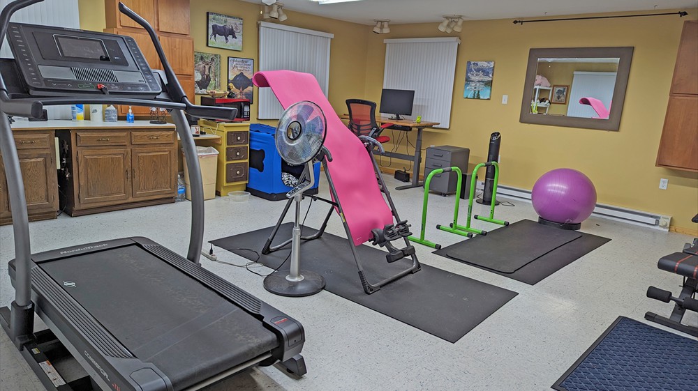 Home Gym / Office Interior