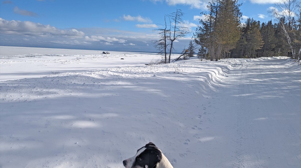 Huron Lane and Lake in Winter