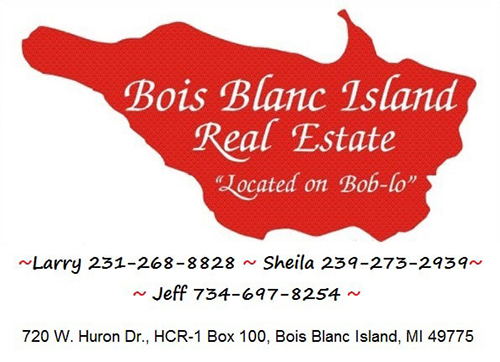 BBI-Real-Estate-logo